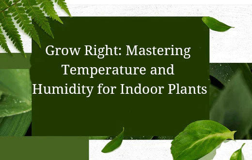 Grow Right: Mastering Temperature&Humidity for Indoor Plants