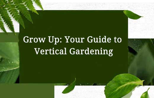 Grow Up: Your Guide to Vertical Gardening