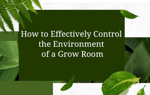 How to Effectively Control the Environment of a Grow Room