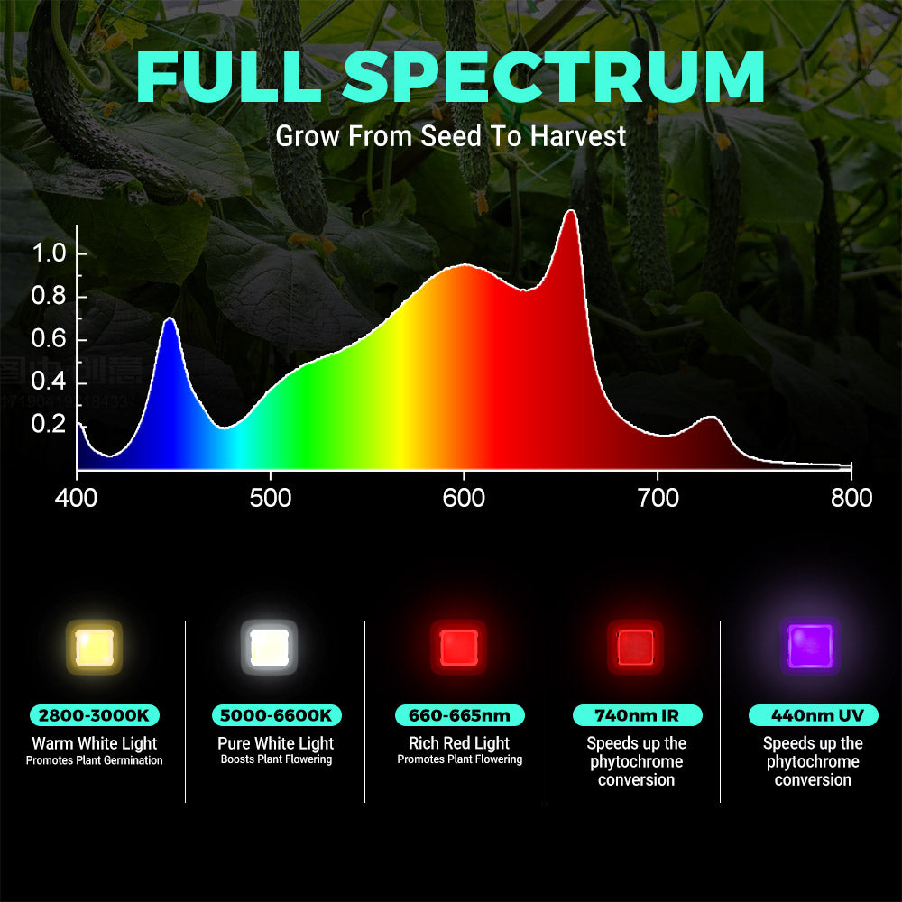 PHLIZON FD4000 420W Full-spectrum Daisy Chain Dimmable Cost-effective High-yield Commercial LED Grow Light for 4×4